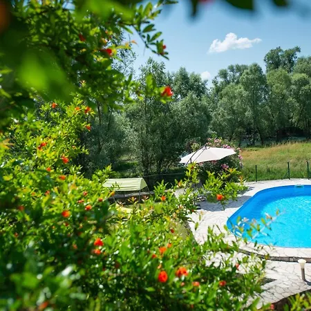 Kosor Spring - Riverside Blagaj